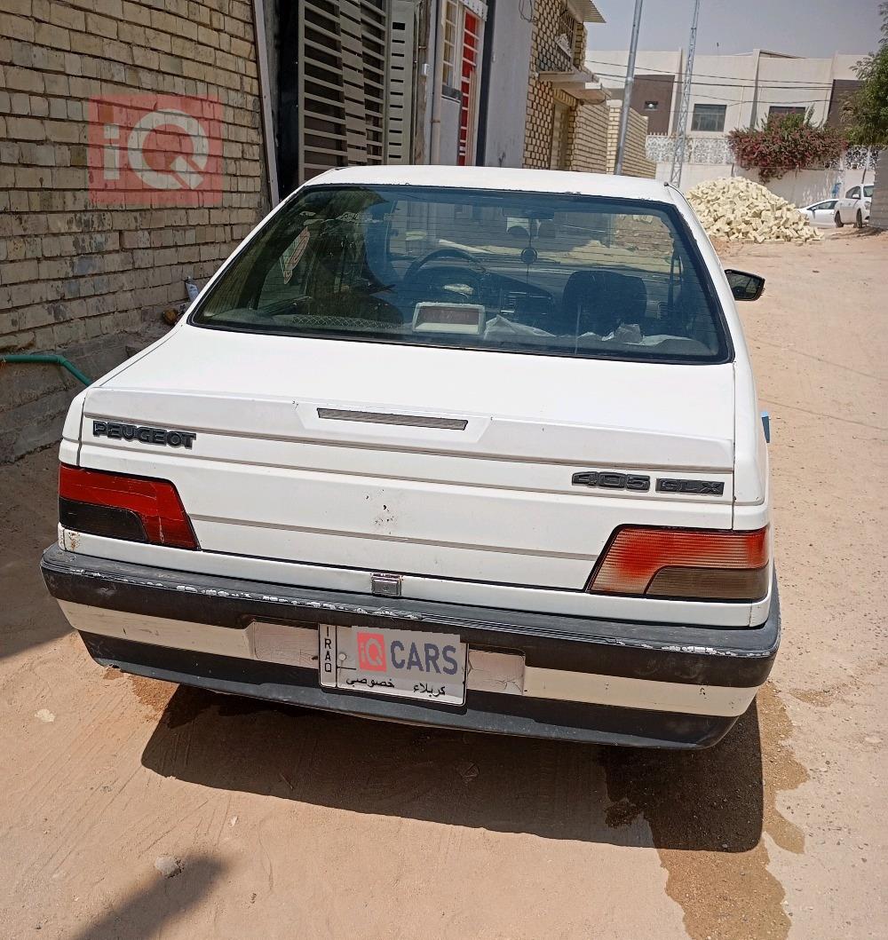 بیجۆ 405
